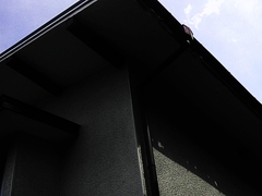 無残な記憶2014年6月12日　雹