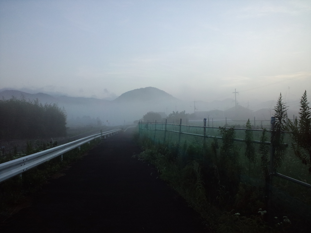 静
