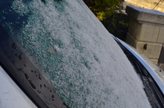 凍ってる雪　正午 (1)