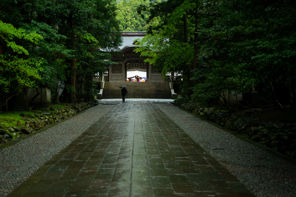 雨の参道