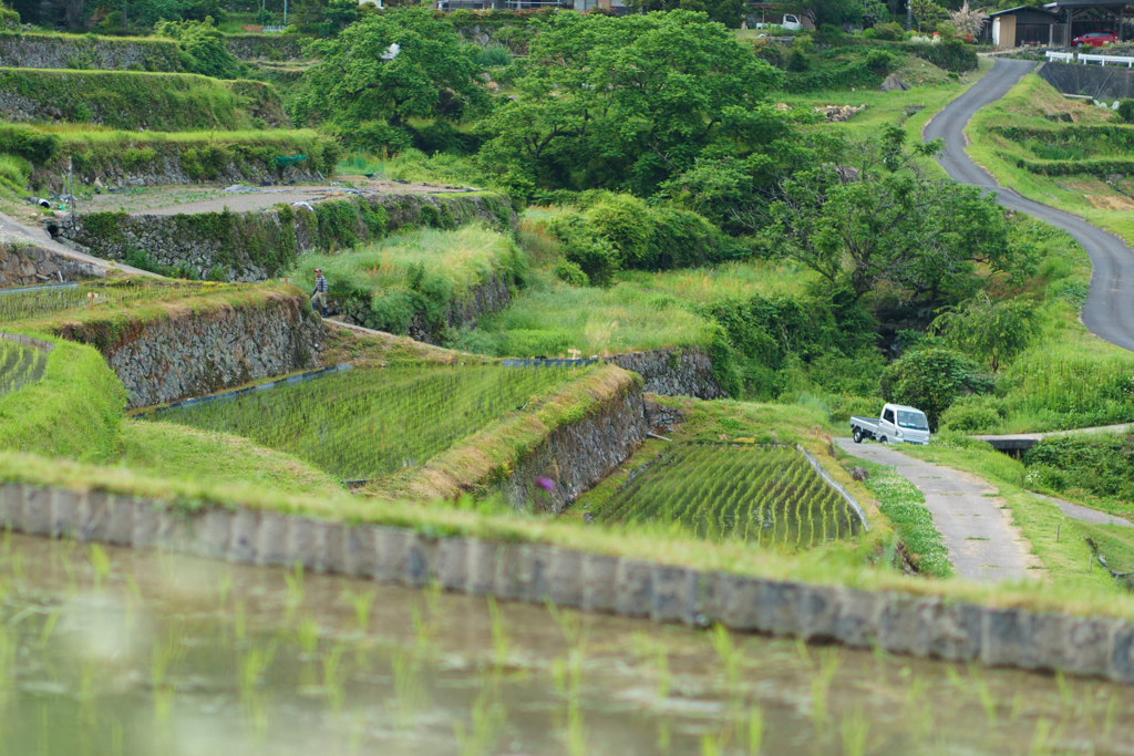 棚田情景