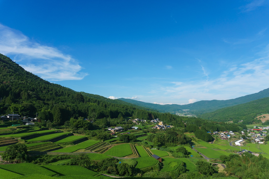 坂折の夏