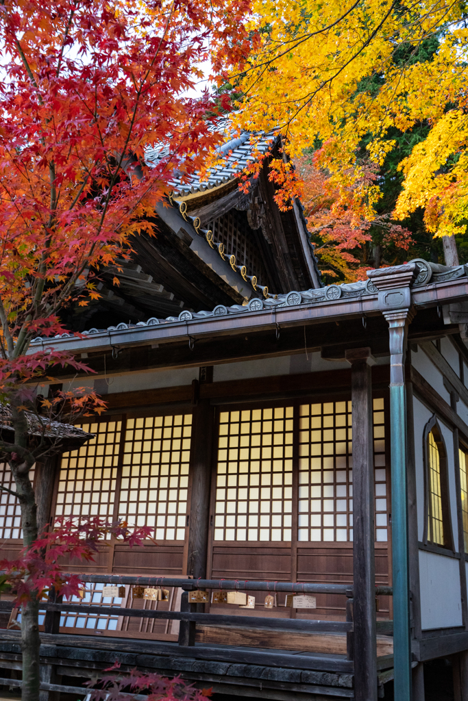 秋の温泉寺