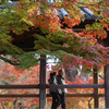 紅中散歩