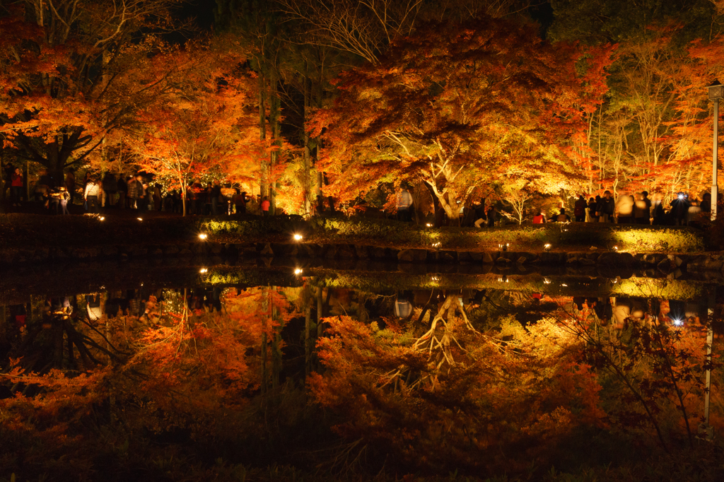 逆さ紅葉
