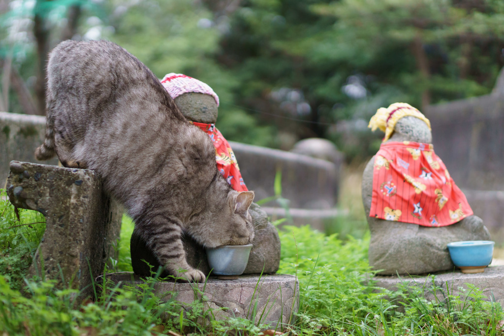 ちょっと失敬