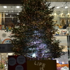 メリークリスマス