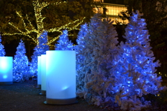 イルミネーション2015@警固公園