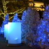 イルミネーション2015@警固公園