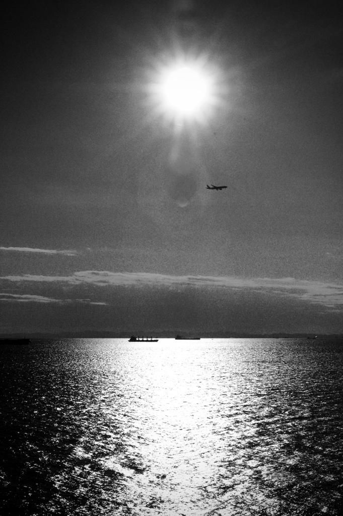 Monochrome Horizon