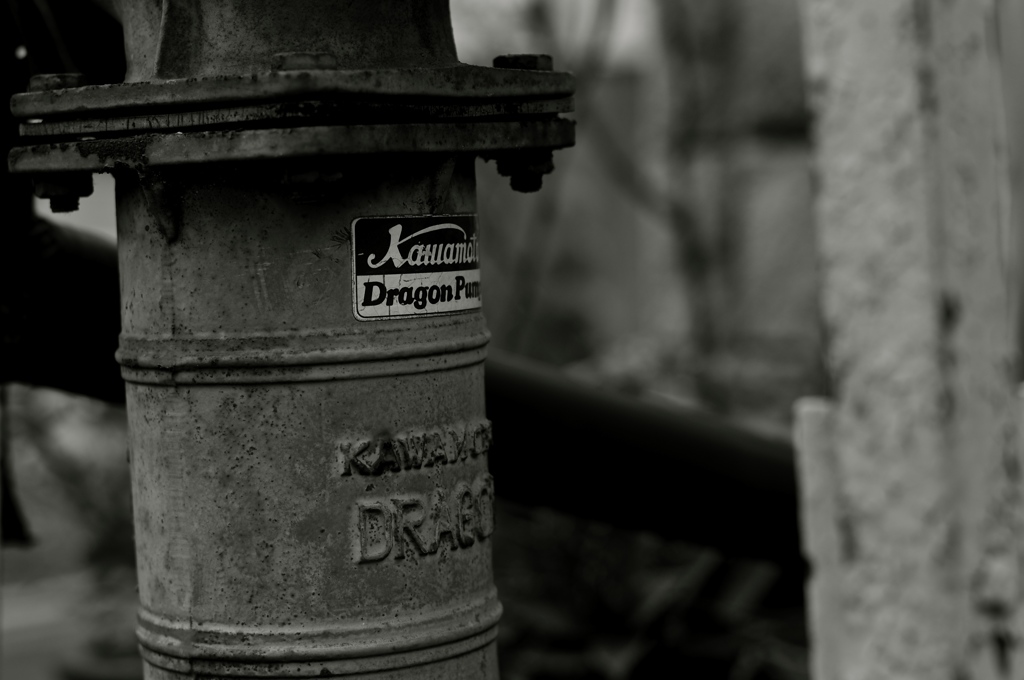 Dragon Pump ~Kawamoto~
