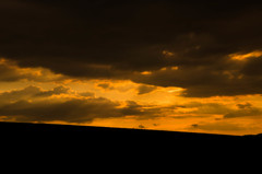 北の大地、明日