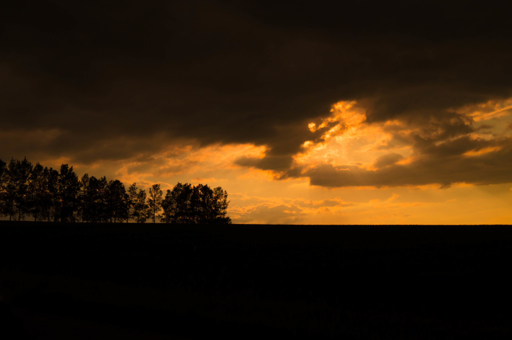 北の大地のともしび