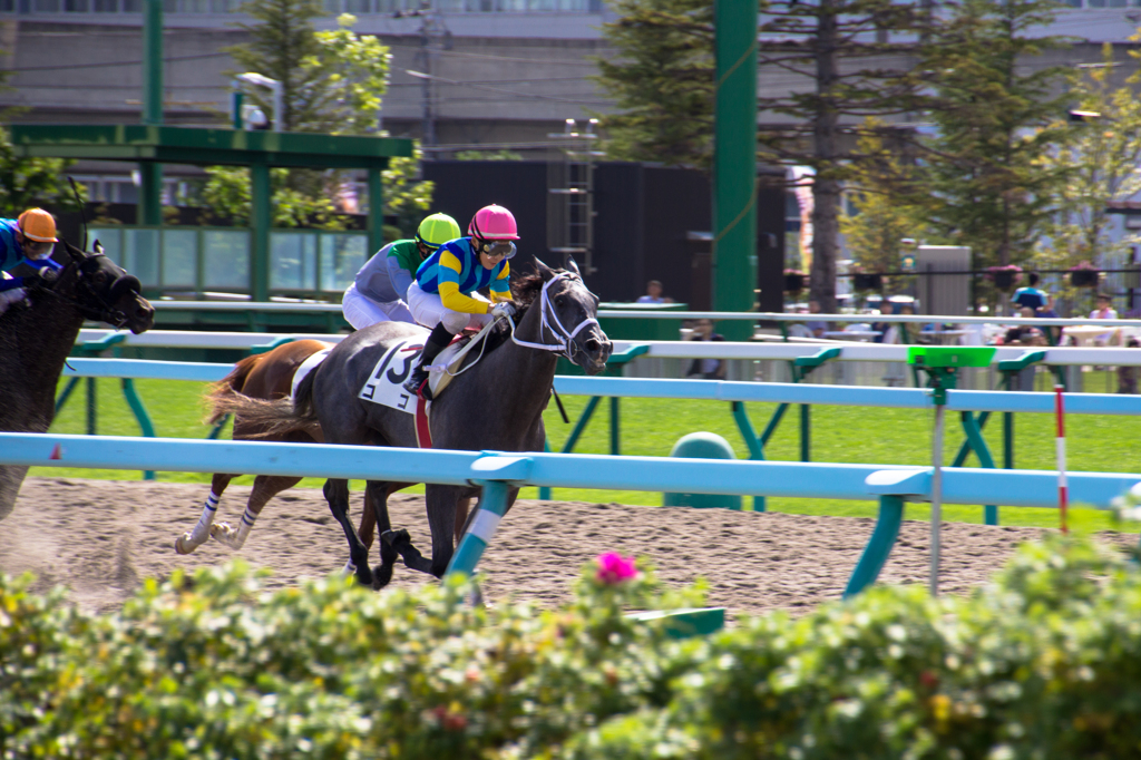 夏競馬～札幌競馬場～