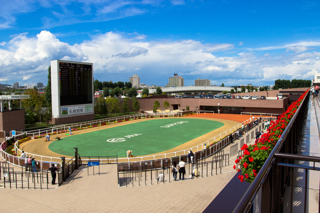 パドック～札幌競馬場～