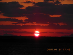 海に沈むだるま太陽