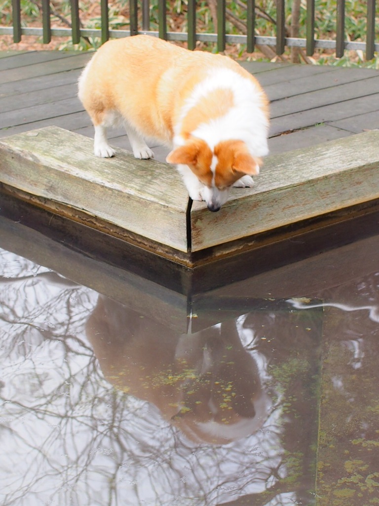 温泉にはいりたい