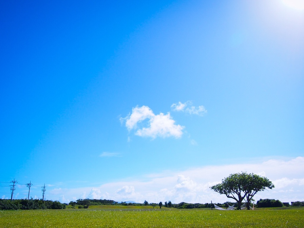 夏の思い出