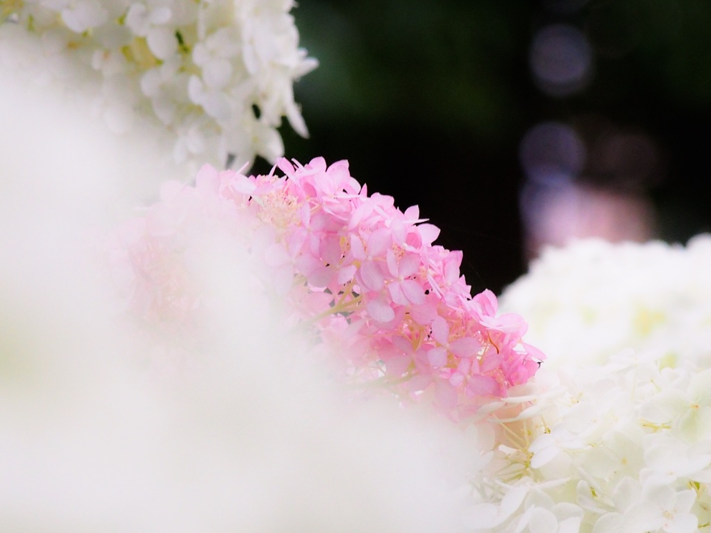 雨あがり