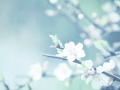 寒の戻り