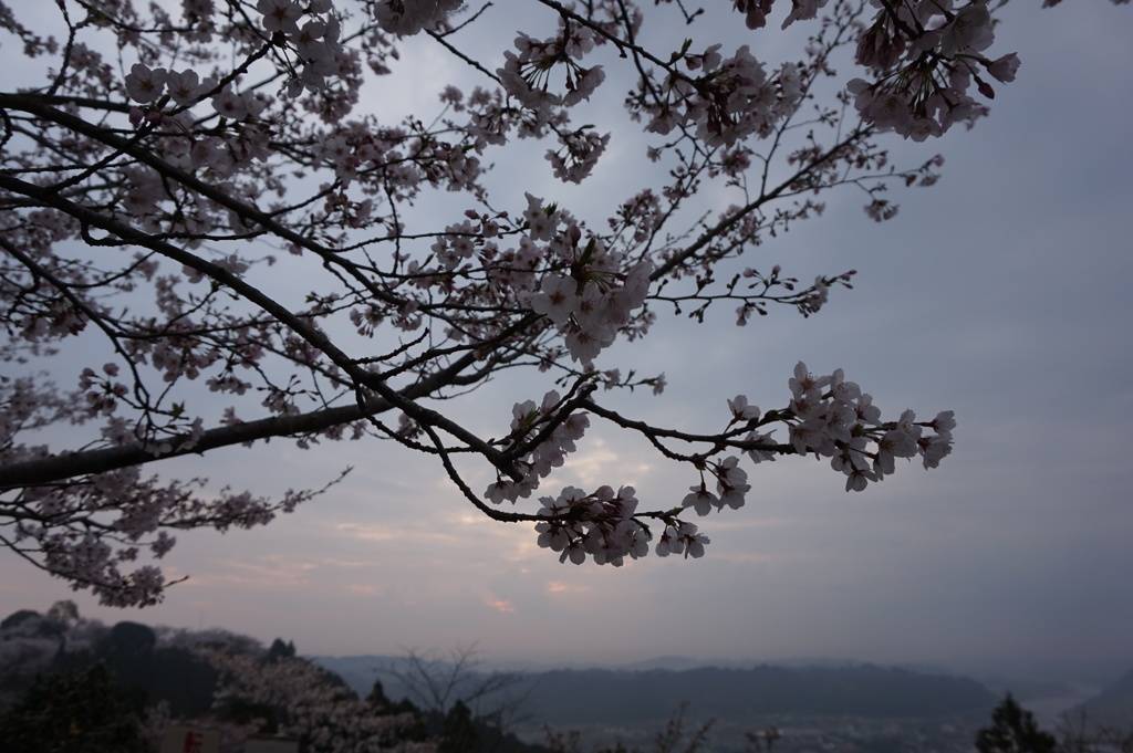 天ヶ城定点撮影 (2015/3/31早朝)