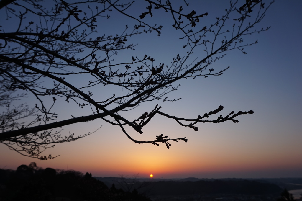 天ヶ城定点撮影 (2015/3/25早朝)