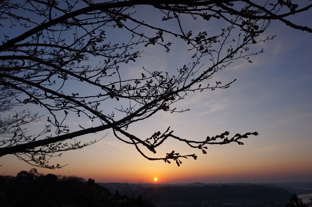 天ヶ城定点撮影 (2015/3/27早朝)