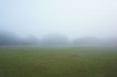 霧の公園