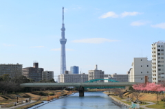 春の空へ