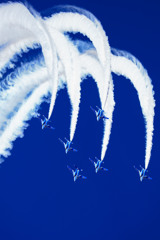  Dance of dolphins 2