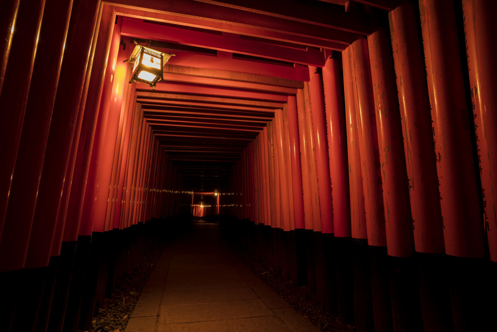 紅に写る回廊を歩いて