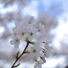 たまには題名のつかない写真を