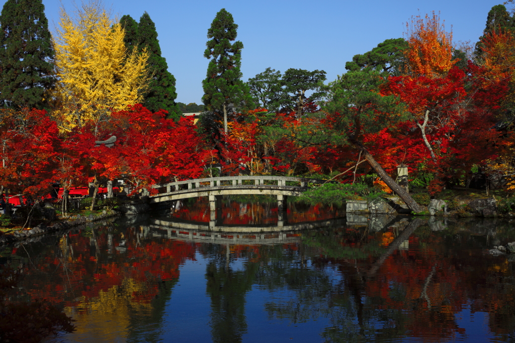 紅葉狩り日和