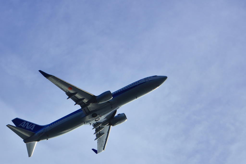 旅空ANA