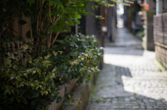 路地裏散歩