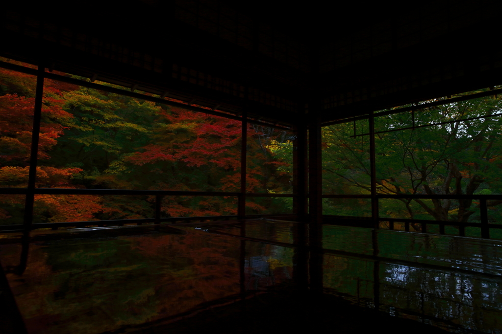 瑠璃の景色