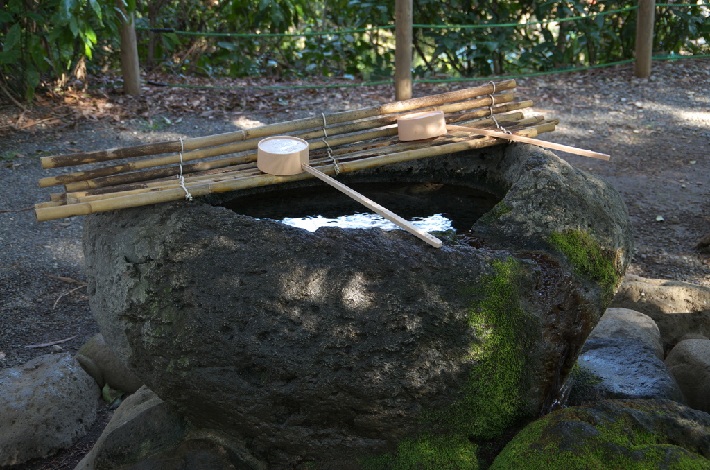 柿田川公園(3)