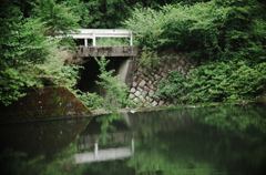 池と川の境目の部分