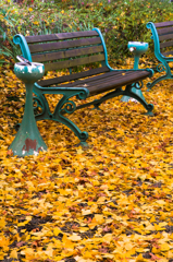 落葉の中のベンチ