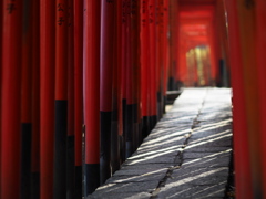 神社にて