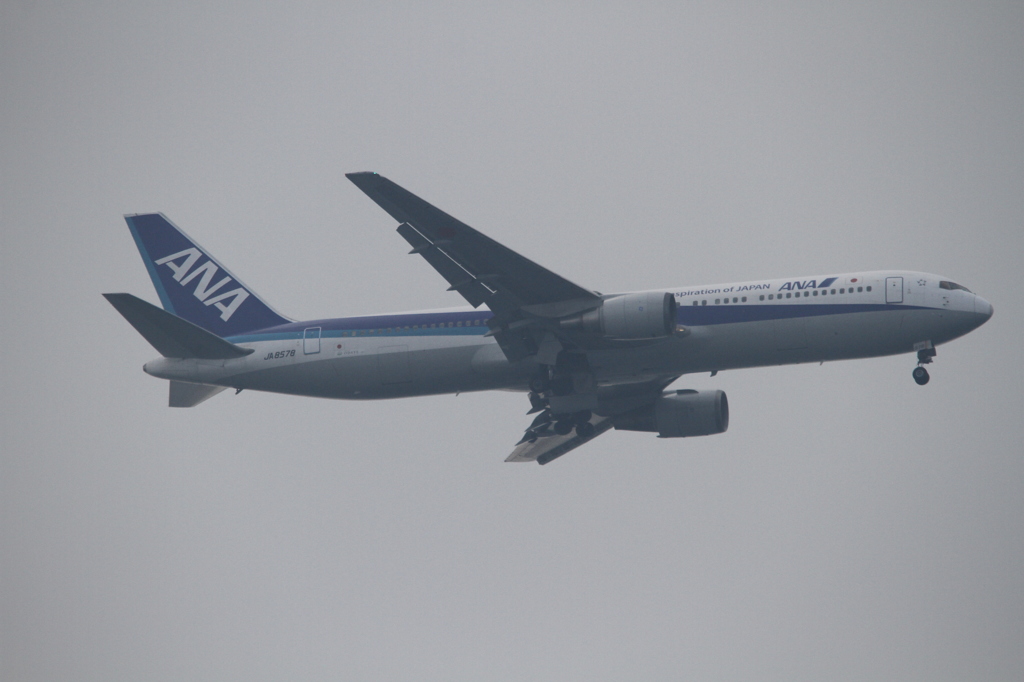 ANA B767-300