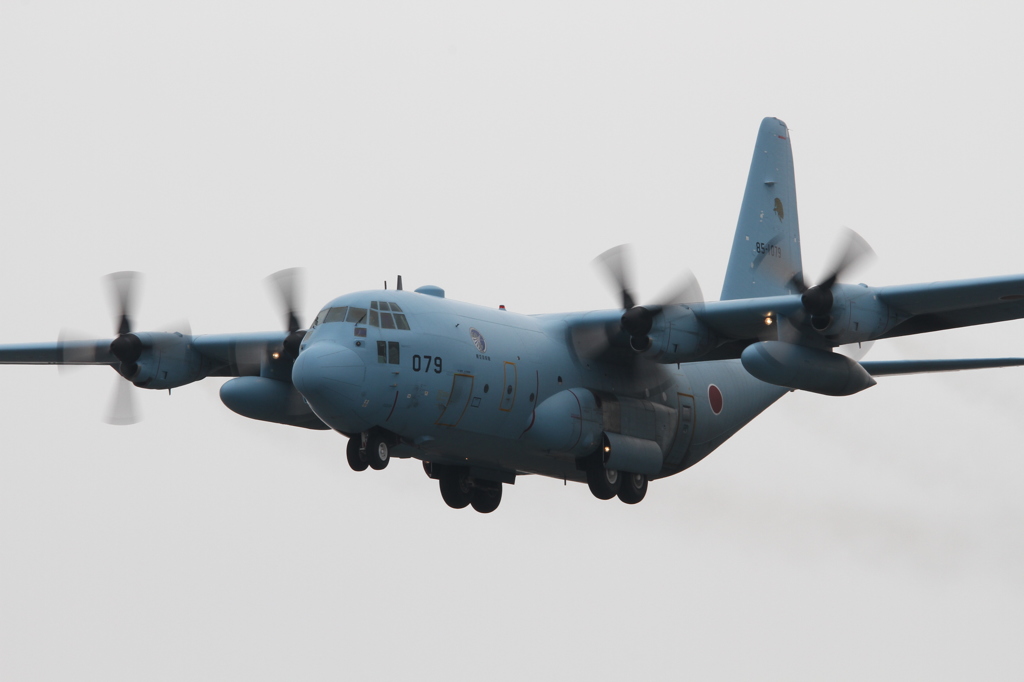 C-130H　イラク塗装