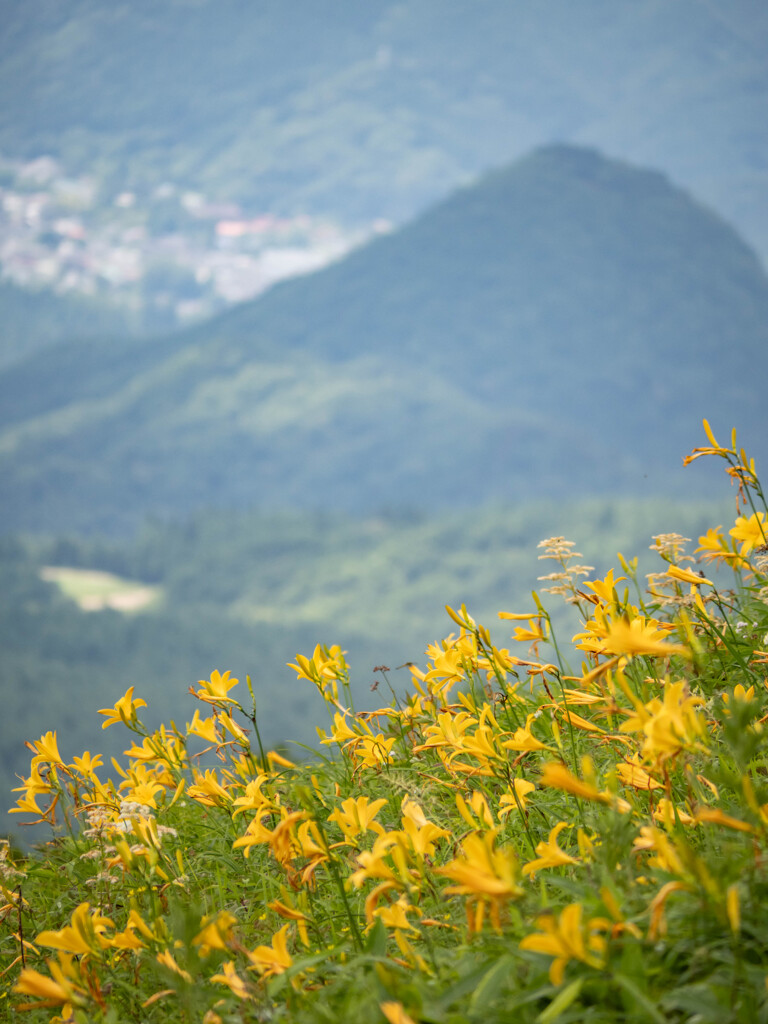 天空の花園 3