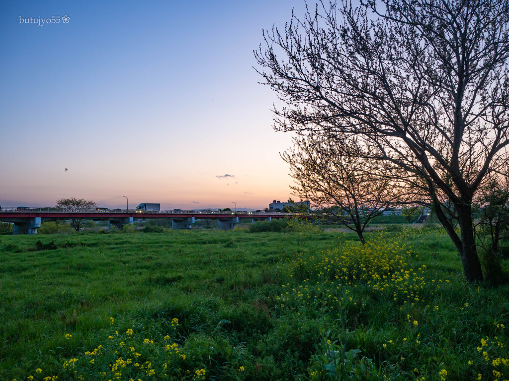 ある日の夕空