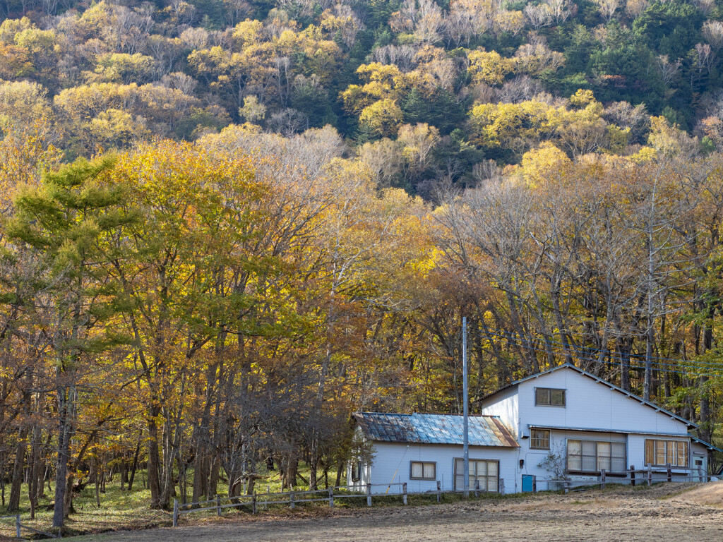 大草原の小さな家
