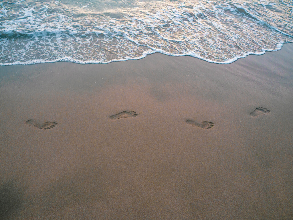 夏の午後 足跡 By 仏女55 Id 869 写真共有サイト Photohito