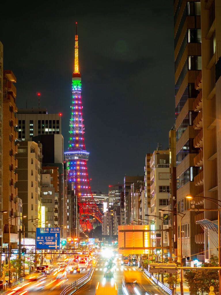 東京タワー  パラ仕様