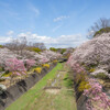 昭和記念公園の春渡る川