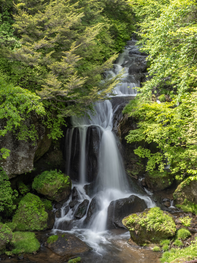 新緑と滝