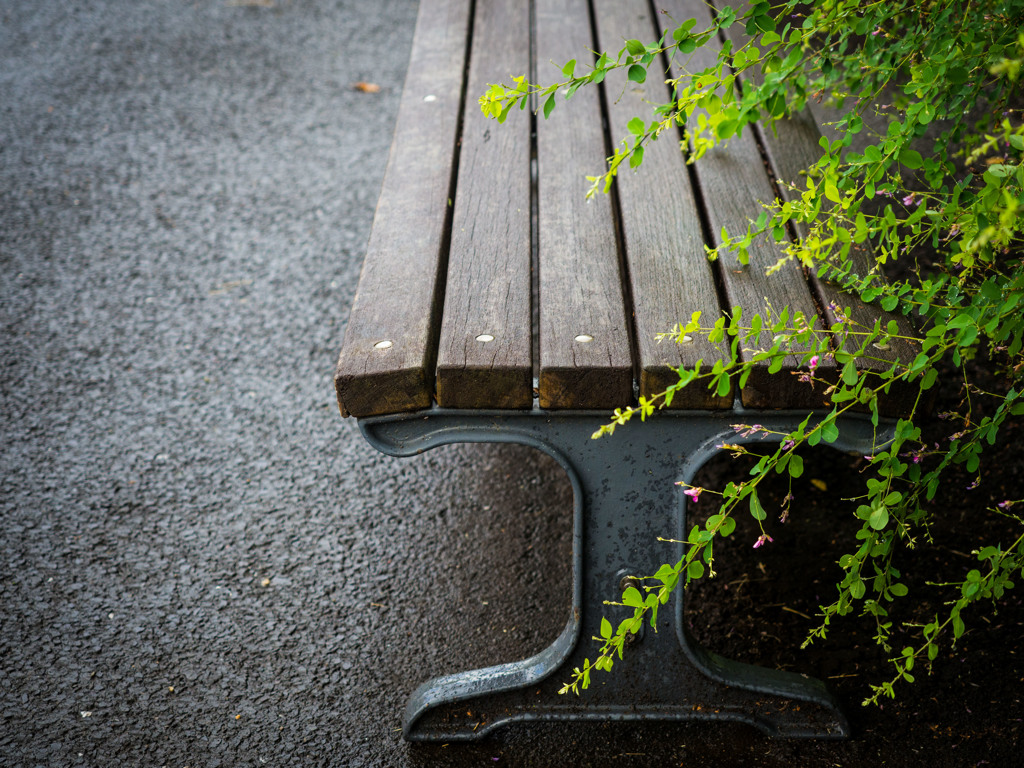 雨のケシキ。